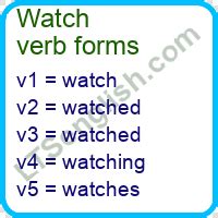 watch watches verb